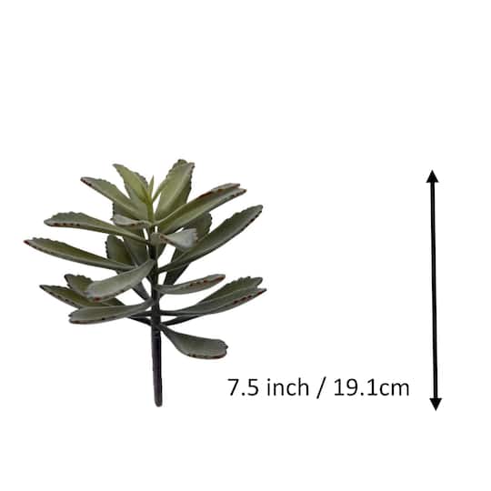 12 Pack: 7.5" Kalanchoe Pick by Ashland®